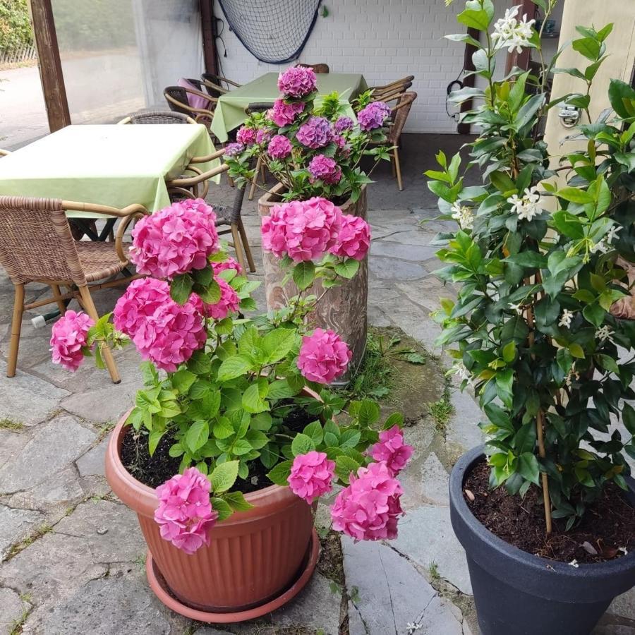 Taverna Hotel Roemerkrug Hannover Eksteriør billede